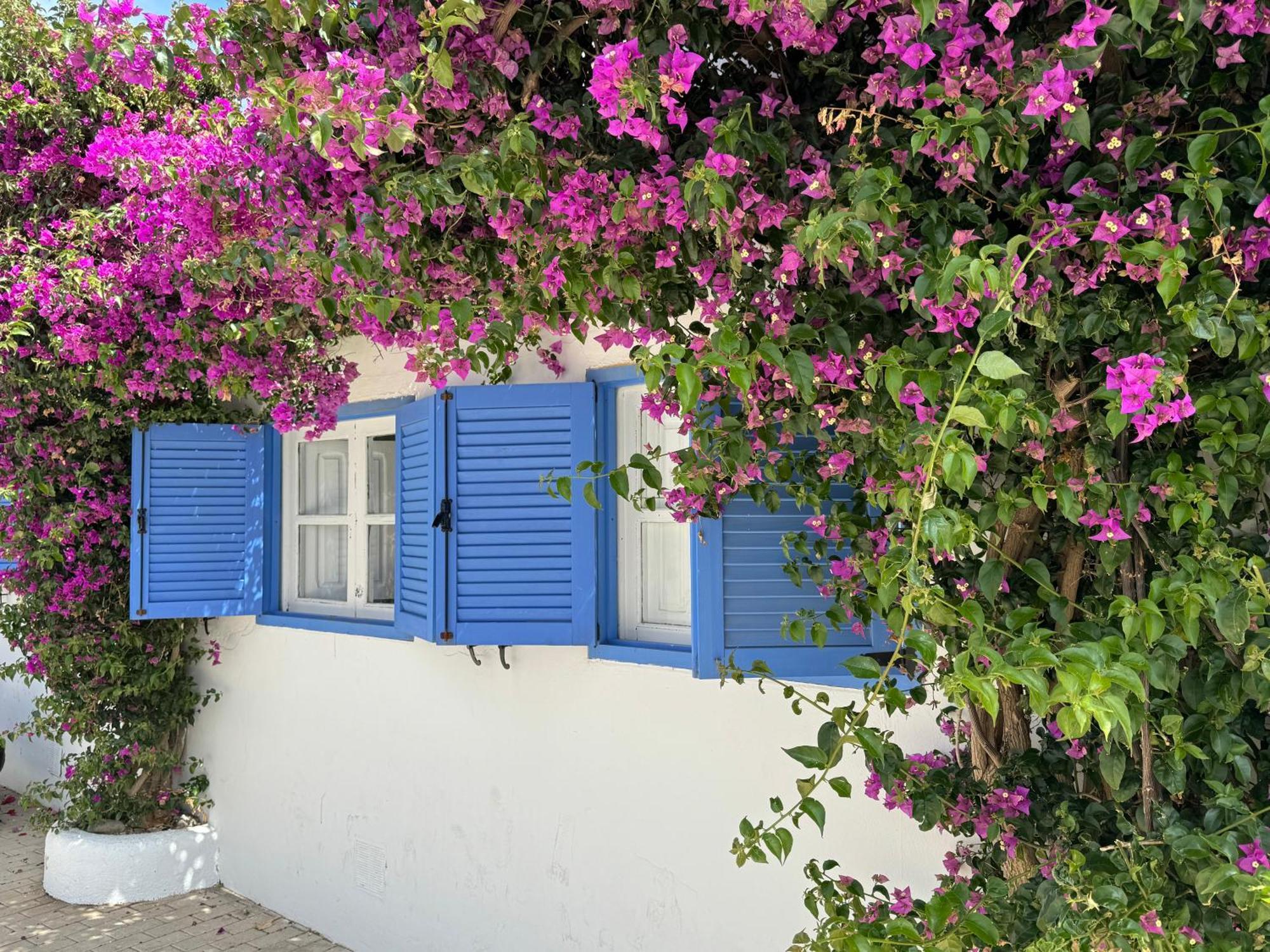 Casa Mellis Aguamarga Apartment Agua Amarga  Exterior photo